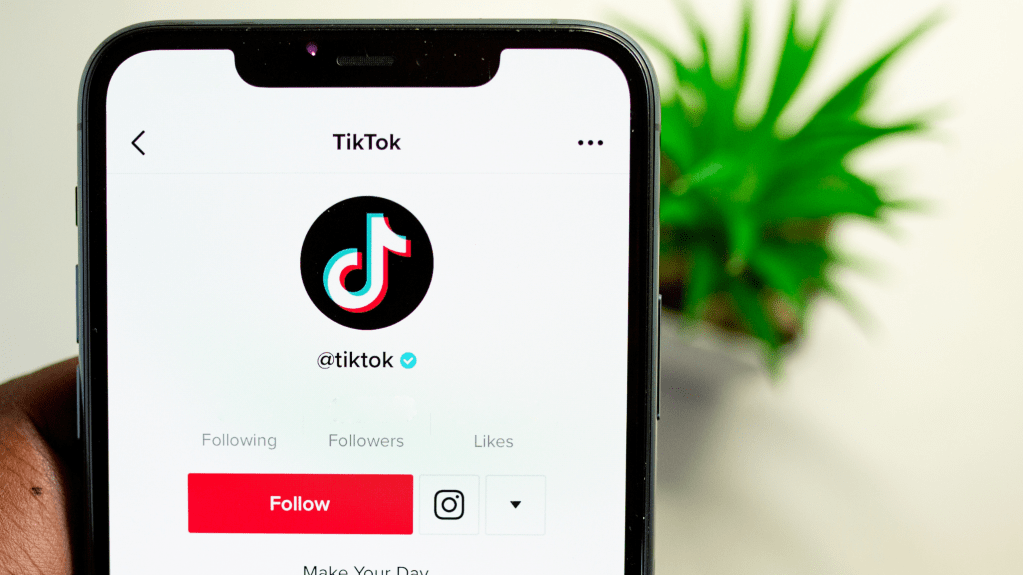Secondo gli analisti c’è un social che è particolarmente problematico riguardo la disinformazione sulle elezioni americane: TikTok